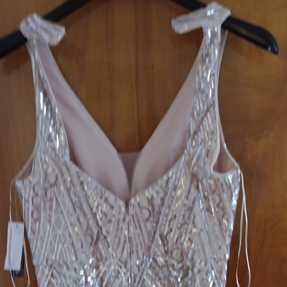 Champagne Silver Sequin Gown - Picture 6 of 10